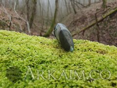 photo 2024 02 18 19 03 25