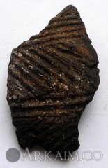 64317_1446533792.jpg