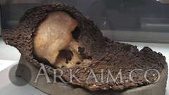 MBhOMxchias