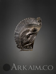 Helmet 5 1024x0