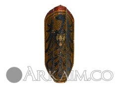 lot0234 0