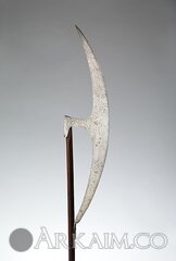 DP165529