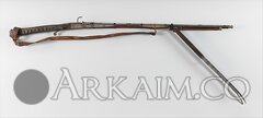 DP368665