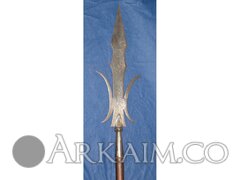 lot0195 0