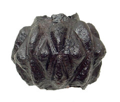 591a