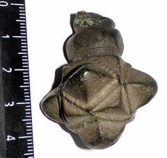 14916669