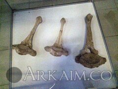 IMG_20160814_165607.jpg