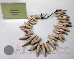 IMG_20160814_165314.jpg