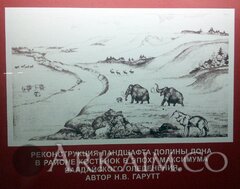 IMG_20160814_164923.jpg
