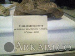 IMG_20160814_165557.jpg