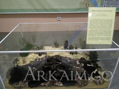 IMG_20160814_164650.jpg