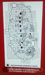 IMG_20160814_165401.jpg