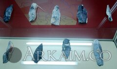 IMG_20160814_164940.jpg