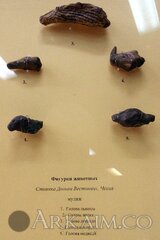 IMG_20160814_165331.jpg