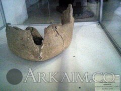 IMG_20160814_165447.jpg