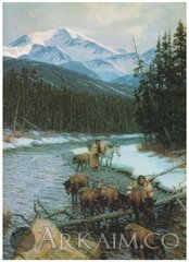 walking coyote And buffalo orphan