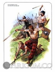 gaul72xaid6.jpg