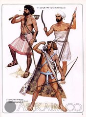 maa_109_e.jpg