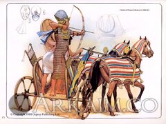 maa_109_c.jpg