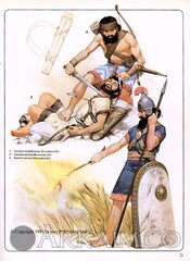 maa_109_g.jpg