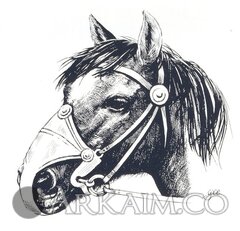 8a74af230458.jpg