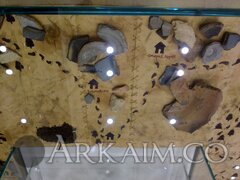 IMG_20191004_133046.jpg
