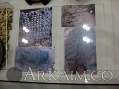 IMG 6531