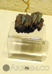 IMG_40962.jpg