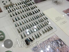 IMG 6517