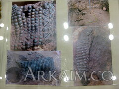 IMG 6536