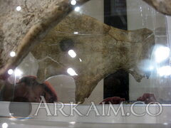IMG 6525