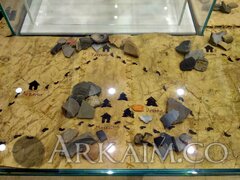 IMG_20191004_133020.jpg