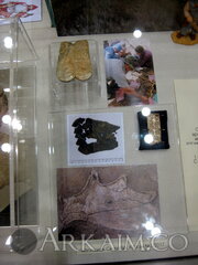 IMG 6528