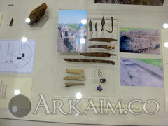 IMG 6511