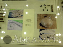 IMG 6510