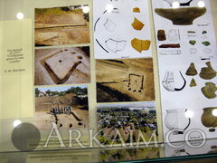 IMG 6485