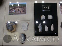 IMG 6480