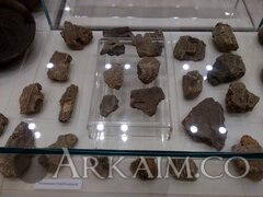 IMG 20191004 132928
