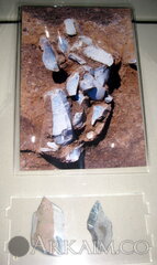 IMG 7701