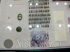 IMG 6515