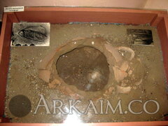IMG 4837