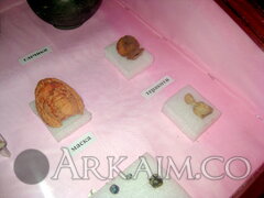 IMG 4853