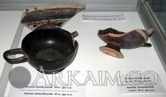 IMG 4742