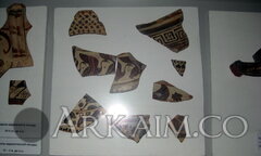 IMG 4732