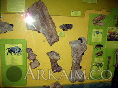 IMG_5943.JPG