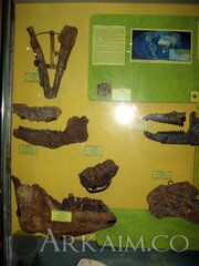 IMG_5940.JPG