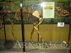 IMG 5930