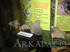 IMG_5954.JPG