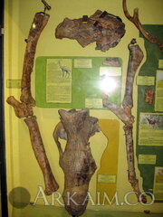 IMG 5933