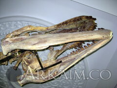 IMG 5965